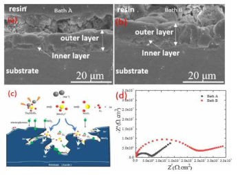 (a and b) Cross-section images of the samples treated in Baths A and B. (c) Incorporation mechanism of SiO2 and MoO2 into TiO2 layer. (d) Nyquist plots of the samples treated in Baths A and B