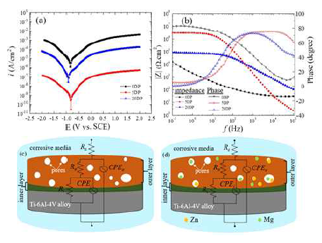 (a-b) Polarization and Bode plots (c and d) circuit models