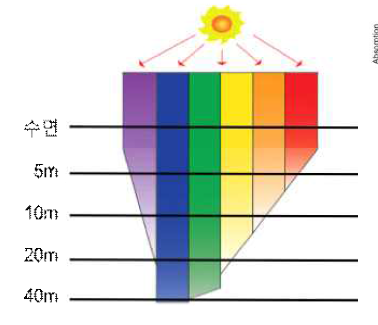 수심에 따른 빛 스펙트럼의 분포