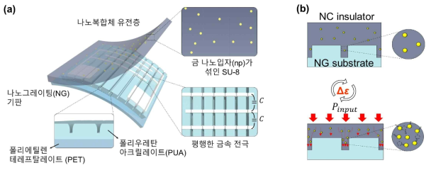 (a) 제안하는 소자의 모식도. (b) 압정전용량 센서 메커니즘