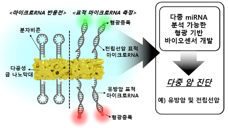 연구 개발의 개략도