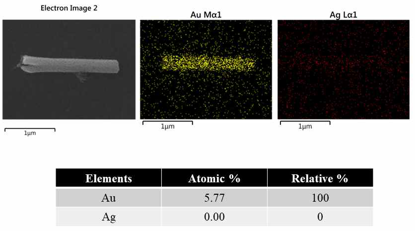 다공성 금 나노막대의 EDS 분석