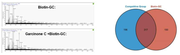 위암세포주인 AGS cells에서 HPLC-MS/MS 크로마토그램 및 단백질 분포