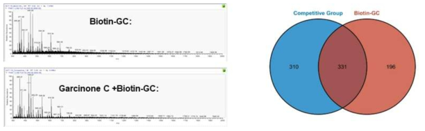 대장암암세포주인 HCT116 cells에서 HPLC-MS/MS 크로마토그램 및 단백질 분포