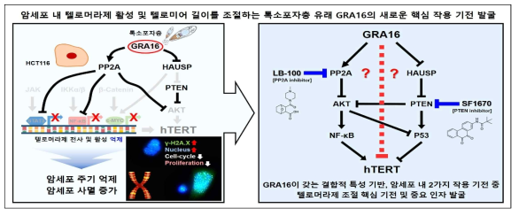 본 연구개발과제의 개요 및 최종 목표