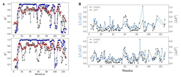 Transthyretin 단백질에 대한 앙상블 구조 결과: NMR order parameter와 비교