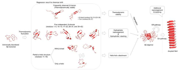 본 연구에서 구한 앙상블 구조로부터 예측한 aggregation pathway