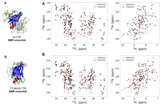 Transthyretin 단백질에 대한 앙상블 구조 결과: chemical shift prediction