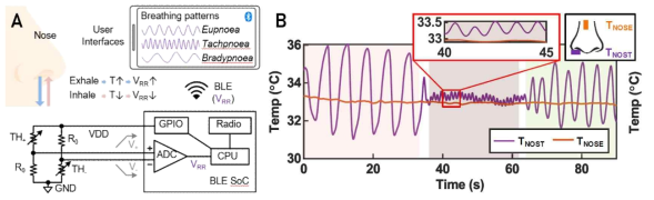 A. 호흡률 측정 시스템 간략도. B. 호흡에 의해 발생하는 온도 변화와 코 표면 온도 변화