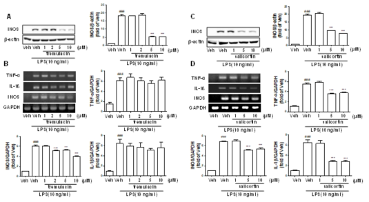 LPS로 독성을 유발한 Primary astrocyte에서 tremulacin (5), salicortin (7)의 항염증 활성 평가