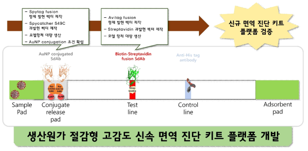 연구 추진전략 모식도