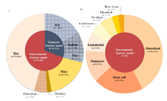 골절 유형에 따라 사용된 동물 및 세포 모델의 종류
