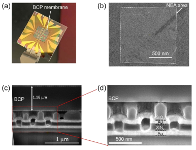(a) BCP@NEA를 보여주는 사진. (b) 공중합체 고분자 막이 코팅된 나노다공성 전극 배열을 보여주는 주사전자현미경 상단 평면 이미지. (c,d) 나노다공성 전극 배열에 코팅된 고분자 막을 함께 보여주는 주사전자현미경 측면이미지
