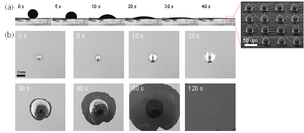 산 증기 환경에서 마이크로 패턴이 있는 기판에서의 액체금속 대면적 코팅 (a) 사이드 이미지와 (b) 위에서 본 이미지