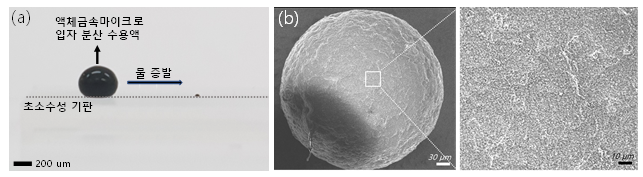 (a) 초소수성 기판위에서 액체금속 마이크로 입자 분산 수용액 방울의 사진. 물이 증발함에 따라 수프라입자 (superapaticle)가 만들어짐. (b) 수프라입자의 전자현미경 이미지