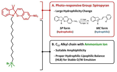 Spiropyran-DTAB 계면활성제 구조