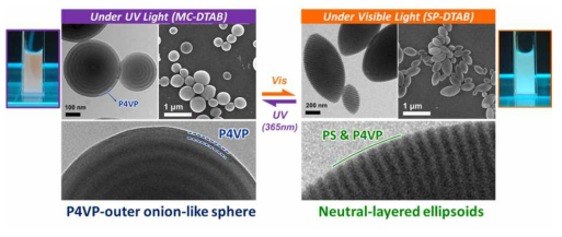 빛의 파장에 따른 PS-b-P4VP 입자의 모양/색 변화