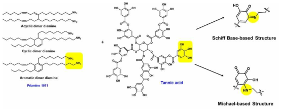 Tannic acid와 priamine의 반응 메커니즘