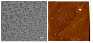 (좌) STO 기판 위에서 성장된 MoS2 의 주사 전자 현미경 (scanning electron microscope, SEM) 이미지. (우) 두께 확인을 위한 AFM 이미지