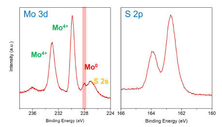 MoS2의 (좌) Mo3d, (우) S2p 스펙트럼. 228 eV 부근에서 Mo0 피크가 관찰 됨