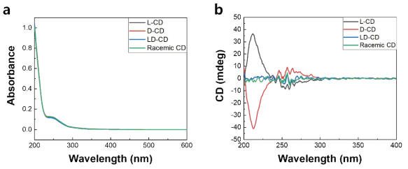 카이랄 탄소양자점의 (a) UV/vis spectra와 (b) 편광도(circular dichroism, CD) spectra 분석