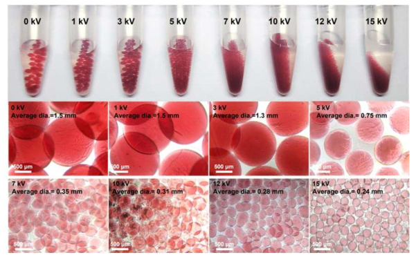 전압 조절을 통한 마이크로 비드 크기 비교 (0 ~ 15 kV)