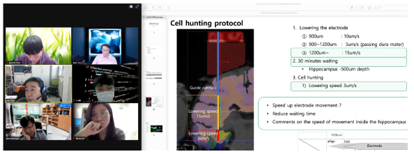 북경대 유지 나야 교수, 성균관대 이준열 교수, 서울대 이인아 교수 및 연구실의 영장류 연구팀과의 화상미팅 (2020.11.05. Hippocampus cell hunting protocol meeting)