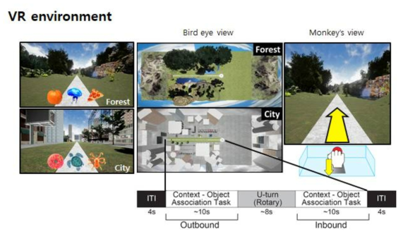 가상현실환경과 행동실험과제의 구성도. Unreal Engine을 사용하여 범주화 재인 학습을 위한 가상현실 환경을 현실과 유사하게 구축하였음