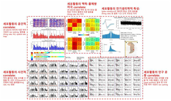 매일 수집된 영장류 해마 전기생리학 자료를 자동으로 분석한 결과의 요약 도표