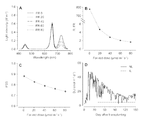온실에서 군락 내 보광(IL) 처리에 따른 광 환경: 군락 내 보광 처리의 광도 (A); FR 세기에 따른 적색/원적색 비율(R:FR) (B); Phytochrome steady state (PSS) (C); 자연광(NL) 및 군락 내 보광 (IL) 의 일 적산 광량 (DLI) (D)