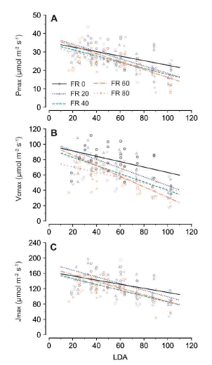 서로 다른 군락 내 보광에 추가된 원적색광 세기 하에서 잎 발달 나이 (leaf developmental age. LDA) 에 따른 최대 광합성 속도 (Pmax) (A); 최대 카르복실화 속도 (Vcmax) (B); 최대 전자전달 속도 (Jmax) (C)