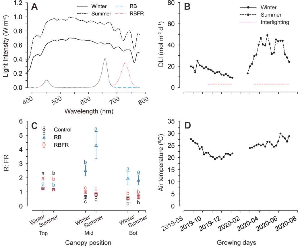 보광 처리에 따른 온실 내 광 환경 및 온도 (겨울, 여름의 자연광 및 LED 광 처리 (A), 일 적산 광량 (DLI) (B), 수관 내 위치별 적색, 원적색광 비율 (R: FR) (C), 온실 온도 (D)