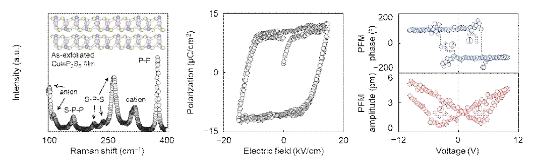 2차원 반데르발스 강유전체 소재에 대한 RAMAN (왼쪽), P-E (가운데), PFM (오른쪽) 분석 결과