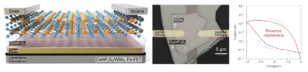 반데르발스 강유전체 및 반도체 소재 기반 Fe-FET 타입의 반도체 소자 모식도 (왼쪽), 제작된 소자의 광학 이미지 (가운데) 및 전달 전류-전압 특성 분석 결과 (오른쪽)