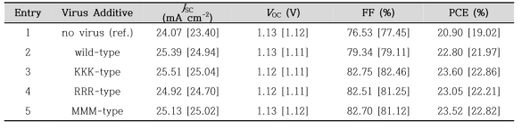 Photovoltaic parameters of PSCs inoculated with different M13 viruses under 1 sun (AM 1.5 G, 100 mW cm−2). The average values and standard deviations were obtained from devices fabricated in the same batch (30 devices)