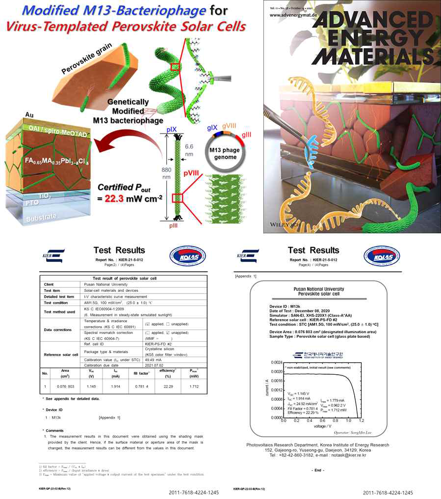유전자 조작을 한 M13 박테리오파지 기반 페로브스카이트 태양전지 모식도와 논문 Back cover 및 인증서