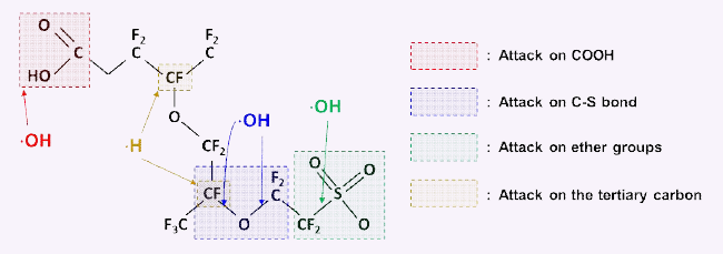 PFSA 멤브레인 구조 및 라디칼 공격 메커니즘