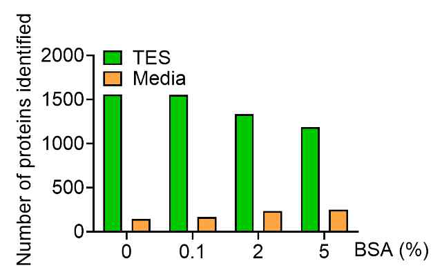 BSA함량에 따른 TES 단백질 분석