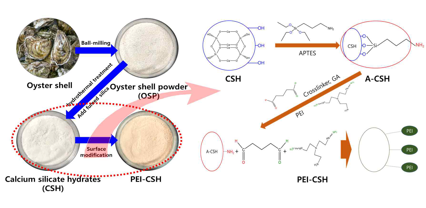굴 패각 기반 흡착제 제조과정 및 표면개질 모식도