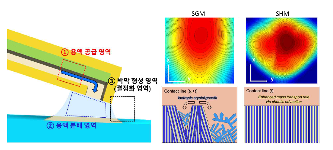 연속형 블레이드 코팅 공정 내부 주요 영역(왼쪽) 및 용액 분배 영역의 유동 해석(오른쪽)