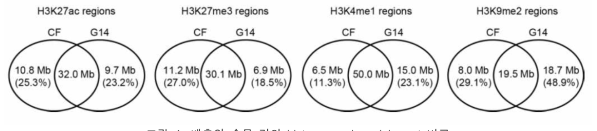 배추와 순무 간의 histone mark enrichment 비교