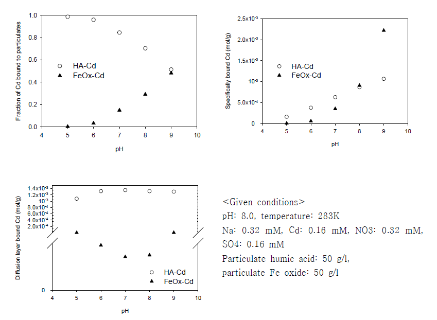 Humic acid와 Fe oxide에서의 카드뮴 분배 모델링 결과
