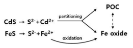 황화철 및 황화카드뮴의 산화 과정