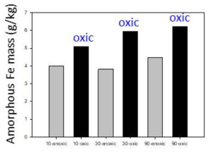 카드뮴 오염(10, 30, 90 mg/kg) 퇴적토에서 질소 및 산소 주입에 따른 비정질 철산화물의 함량 변화