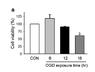 OGD 노출 시간에 따른 bEND.3 cells의 viability 영향 (KA Kim et al. 2020)