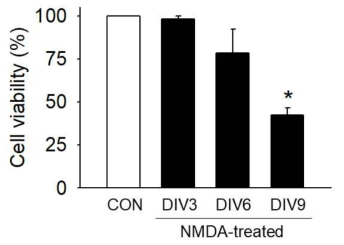 일차배양 신경세포에서 DIV별(DIV3, 6, 9) NMDA 노출에 의한 viability 변화