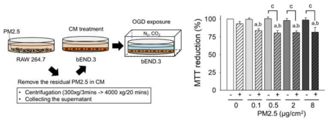 PM2.5 노출된 RAW264.7 conditioned media를 이용한 bEND.3의 OGD 손상 민감성 증폭 평가(MTT assay)