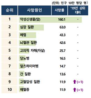 2020년 국내의 질병관련 사망 원인 통계 (출처: 통계청)