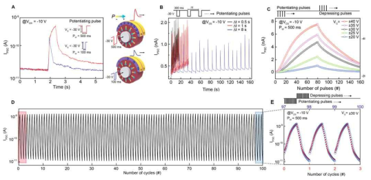 섬유형 멀티 인공 시냅스 소자의 시냅스 기능 (A) LTP(Long-term potentiation), STP(Short-term plasticity) (B) SRDP(Spike rate dependent plastisity) (C) 인가된 전압세기에 따른 LTP, LTD(Long-term depression) (D, E) 6000개의 pre-synaptic pulse에 따른 컨덕턴스 변화