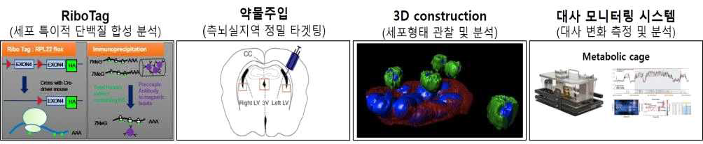 대표적 연구 방법